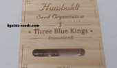 Three Blue Kings от Humboldt
