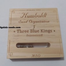 Three Blue Kings от Humboldt