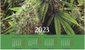 Календарь плакат мазар
