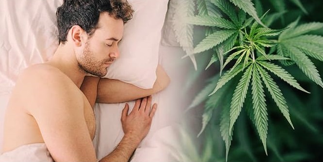 После марихуаны сон беременность марихуана